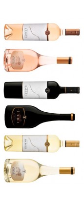 Château Margüi - Carton Dégustation - 6 vins de Provence - rosé, rouge, blanc