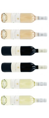 Domaine la Rose des Vents - Carton Dégustation 6 vins de Provence - rosé, rouge, blanc