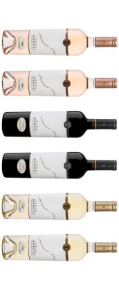 Château Margüi - Carton Dégustation Château - 6 vins de Provence - rosé, rouge, blanc