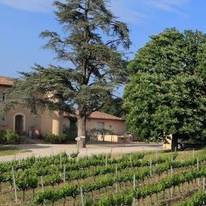 Domaine de Rimauresq