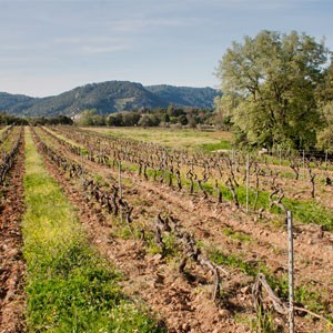 Domaine de l'Heure Bleue