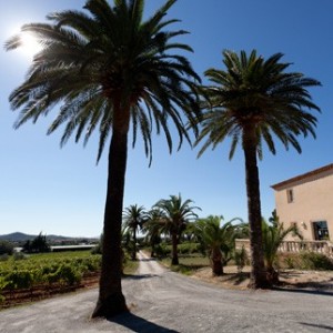 Sainte Marguerite en Provence