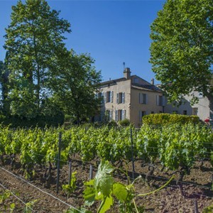 Domaine Tempier